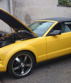 c6