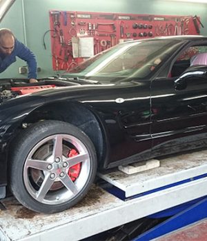 v11